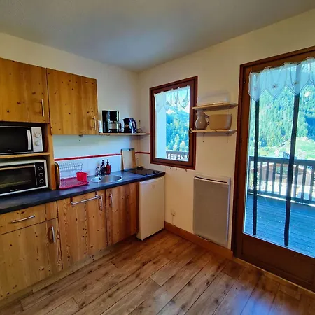 아파트 19m², Ideal 3 Pers, Avec Terrasse Et Parking, Proche Commerces Et Navette - Fr-1-342-307